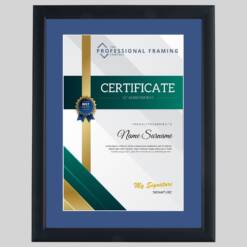 Judo Certificate Frame