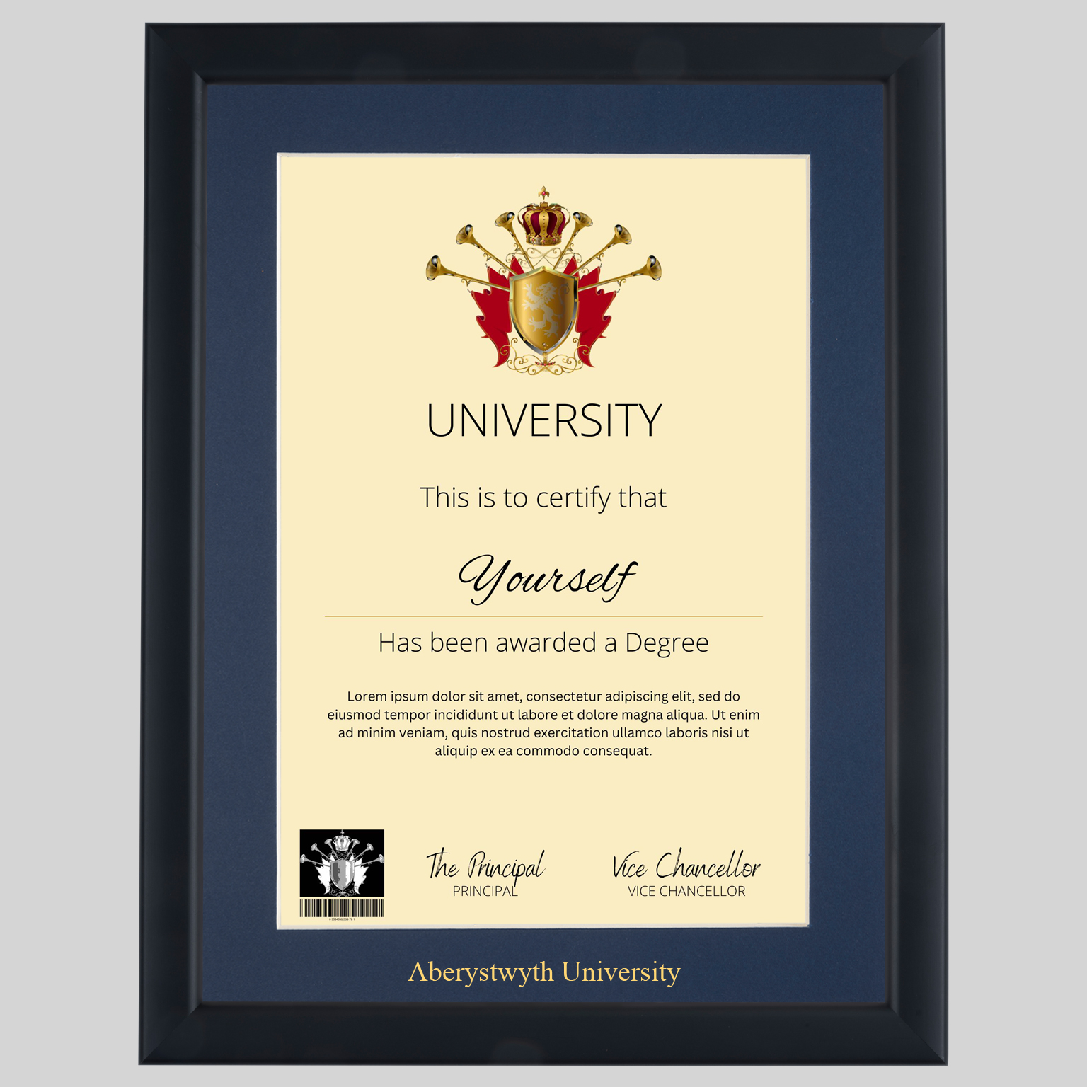 Aberystwyth University A4 graduation certificate Frame in Contemporary