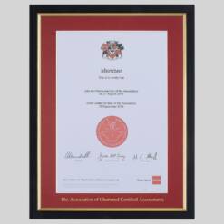 Association of Chartered Certified Accountants (ACCA) certificate frame