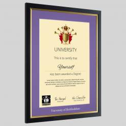 Alternative view of University of Hertfordshire graduation certificate Frame