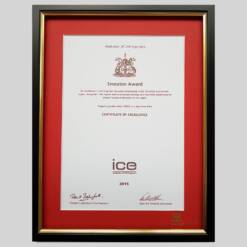 Institution of Civil Engineers certificate frame