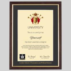 London School of Economics and Political Science graduation certificate Frame