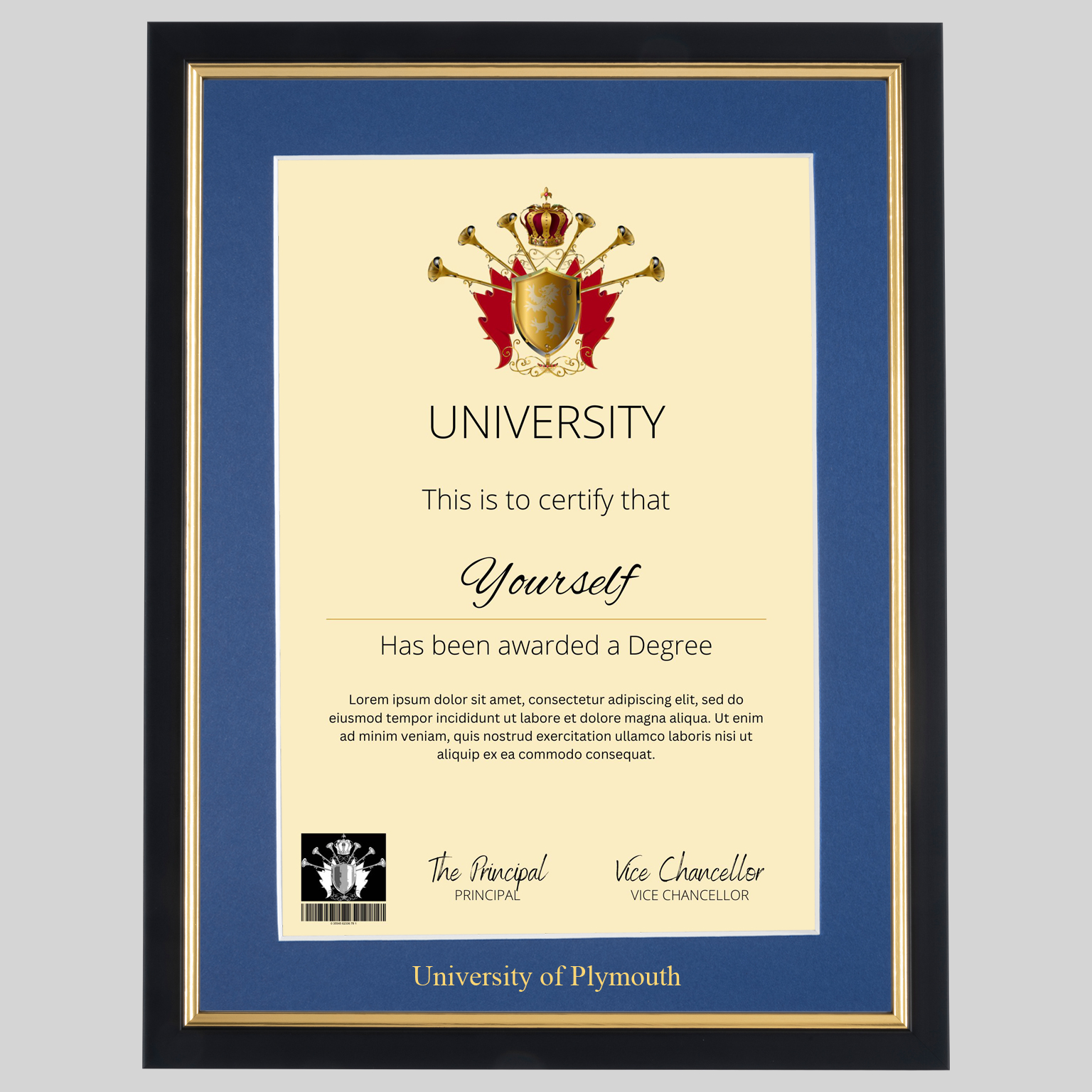 University of Plymouth A4 graduation certificate Frame in Black and Gold