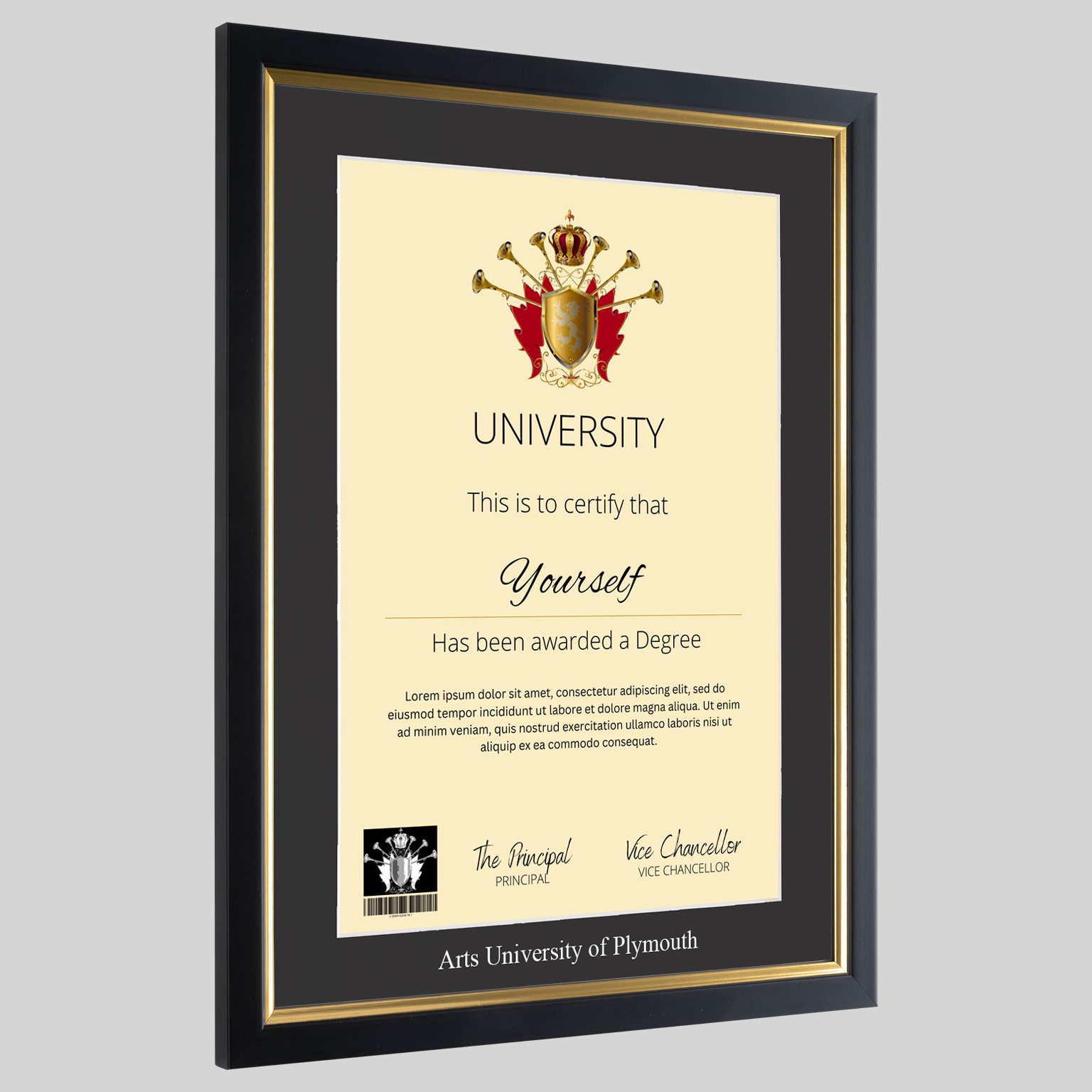 plymarts-bg-a-1536x1536