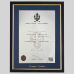 Swansea University graduation certificate Frame