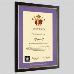 Alternative view of University College London graduation certificate Frame