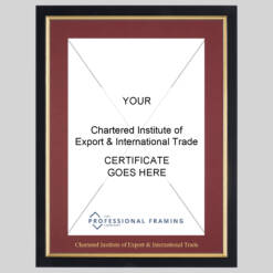 Chartered Institute of Export & International Trade certificate frame