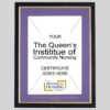The Queen's Instititue Of Community Nursing Certificate Frame