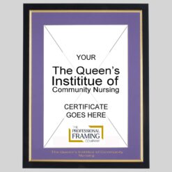 The Queen's Instititue Of Community Nursing Certificate Frame