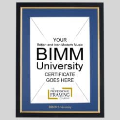 British and Irish Modern Music (BIMM) University